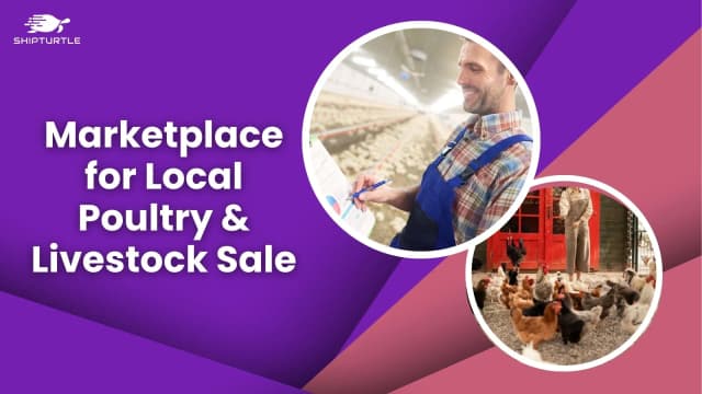 Building A Farm Market: Multivendor Marketplace For Local Poultry And Livestock Sale